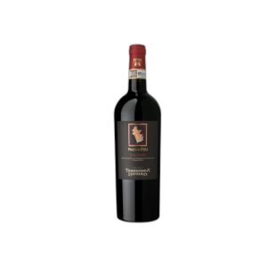 Taurasi DOCG vino italiano Aglianico Campania Terredora